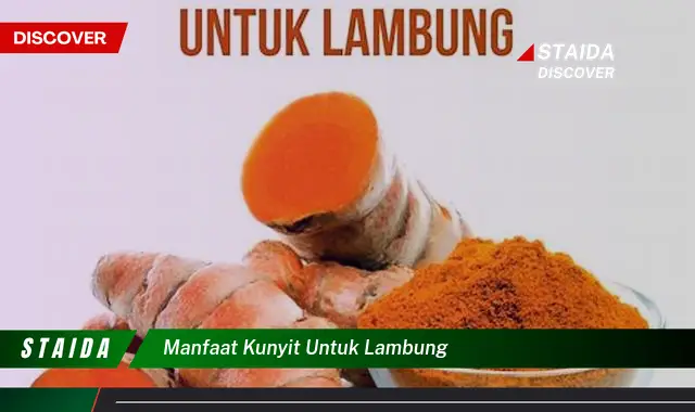 Temukan 7 Manfaat Kunyit untuk Lambung yang Jarang Diketahui