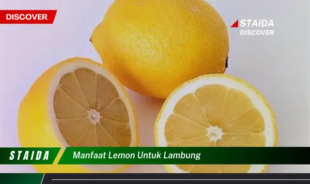 Temukan 7 Manfaat Lemon untuk Lambung yang Jarang Diketahui