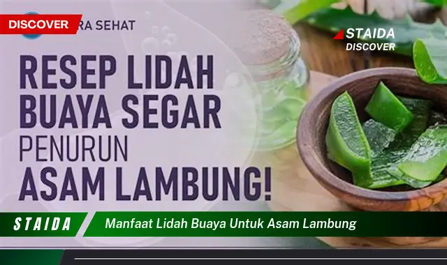 Temukan Manfaat Lidah Buaya untuk Asam Lambung yang Jarang Diketahui