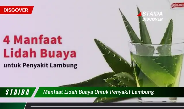 Temukan Manfaat Lidah Buaya untuk Penyakit Lambung yang Jarang Diketahui