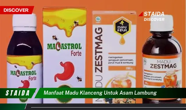 Temukan Manfaat Madu Klanceng untuk Asam Lambung yang Jarang Diketahui