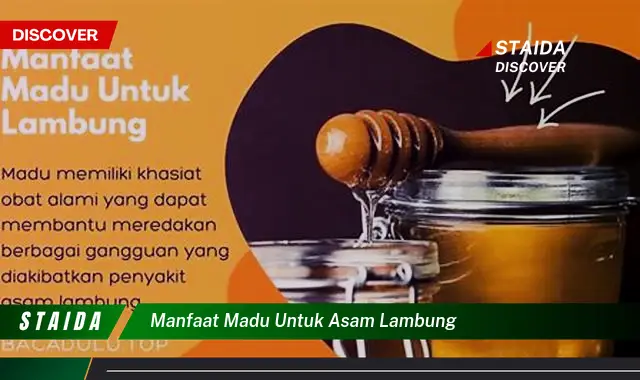 Temukan Manfaat Madu untuk Asam Lambung yang Mengejutkan