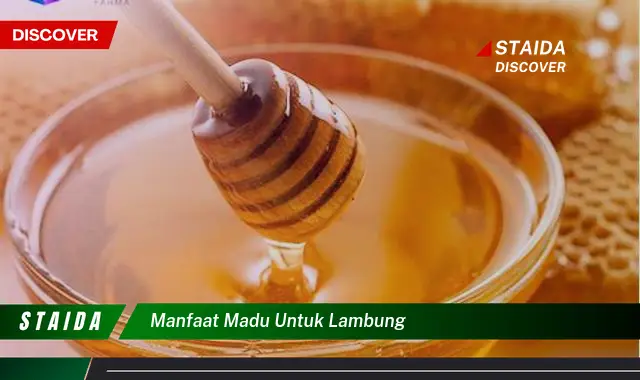 Temukan Manfaat Madu untuk Lambung yang Jarang Diketahui