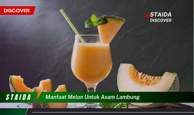 Temukan 7 Manfaat Melon untuk Asam Lambung yang Jarang Diketahui