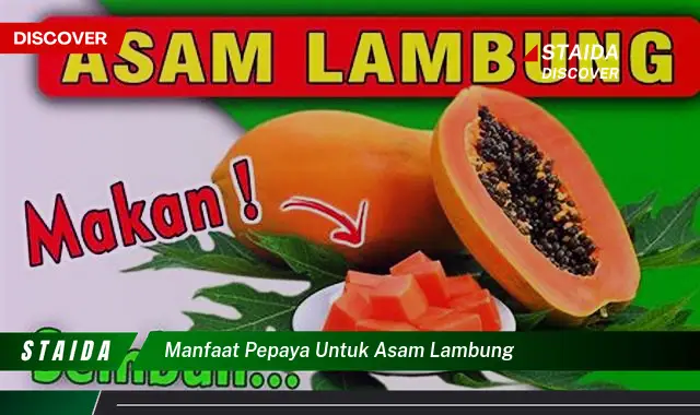 Temukan Manfaat Pepaya untuk Lambung yang Jarang Diketahui