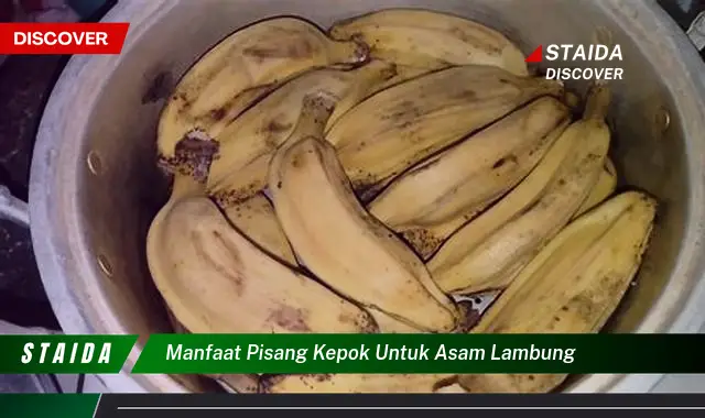 7 Manfaat Pisang Kepok untuk Lambung yang Jarang Diketahui