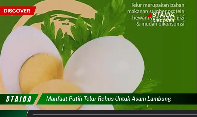 Temukan 7 Manfaat Penting Telur Rebus untuk Asam Lambung yang Jarang Diketahui