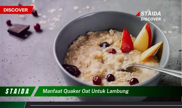 Temukan Manfaat Quaker Oat untuk Lambung, Jarang Diketahui!