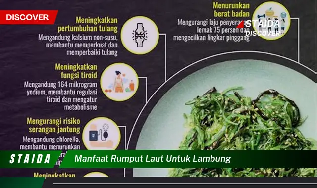 Temukan Manfaat Rumput Laut untuk Lambung yang Jarang Diketahui