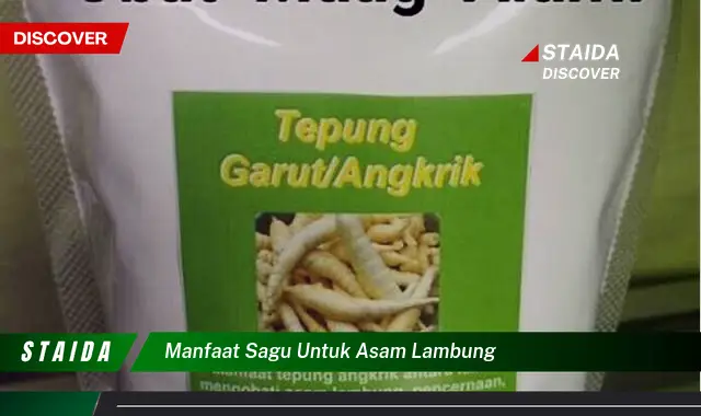 Temukan Manfaat Sagunya, Asam Lambung Hilang!