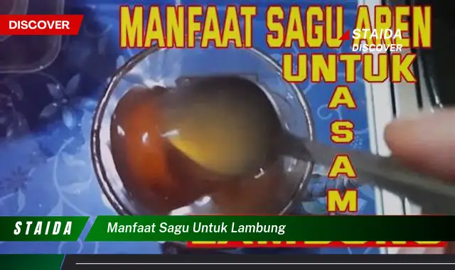 Temukan 7 Khasiat Sagu untuk Lambung yang Jarang Diketahui