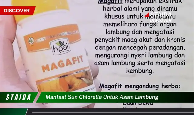 Temukan Manfaat Sun Chlorella untuk Asam Lambung yang Jarang Diketahui