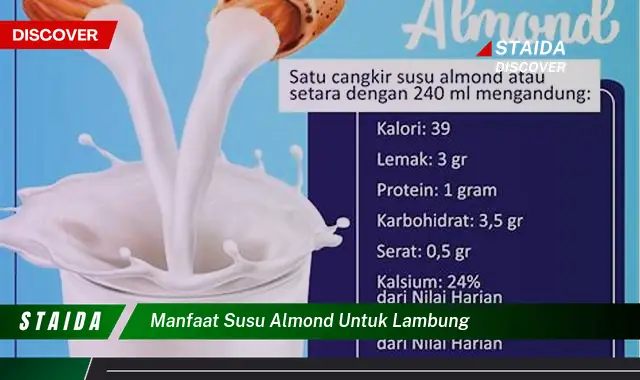 Temukan Manfaat Susu Almond untuk Lambung, Rahasia Kesehatan Pencernaan yang Jarang Diketahui