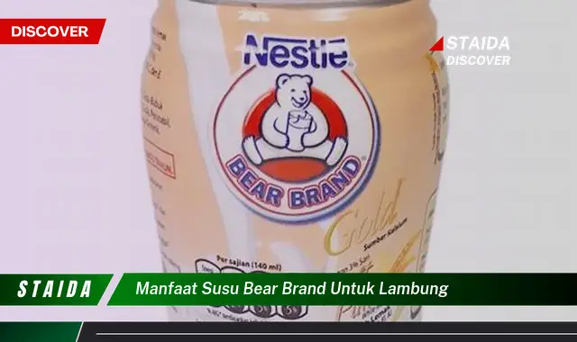 7 Manfaat Susu Bear Brand untuk Lambung yang Jarang Diketahui