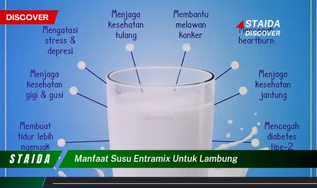 Temukan 7 Manfaat Susu Entramix untuk Lambung yang Jarang Diketahui