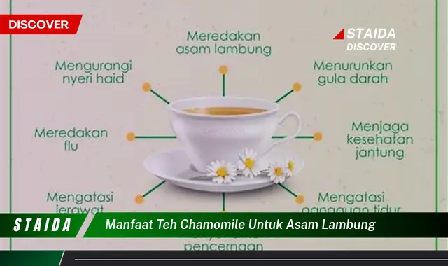 Temukan Manfaat Teh Chamomile untuk Asam Lambung yang Jarang Diketahui