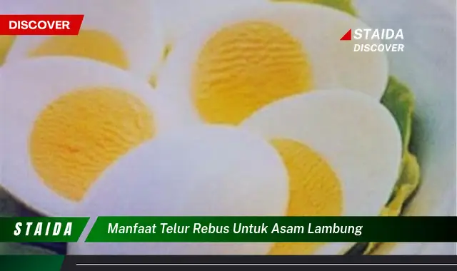 Manfaat Telur Rebus untuk Asam Lambung yang Jarang Diketahui