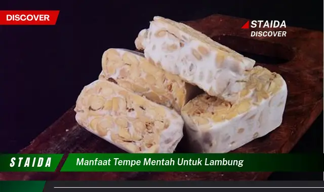 Temukan 7 Manfaat Tempe Mentah untuk Lambung yang Akan Menakjubkan Anda