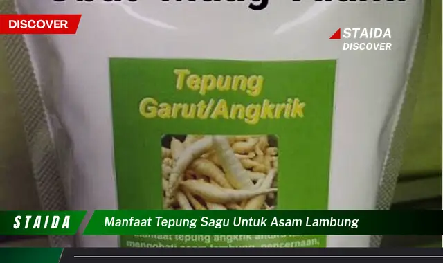 Temukan Manfaat Tepung Sagu untuk Lambung yang Jarang Diketahui