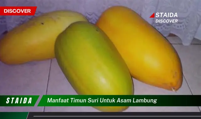 Temukan Rahasia Manfaat Timun Suri untuk Asam Lambung yang Jarang Diketahui!