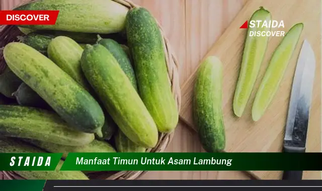 Manfaat Timun untuk Asam Lambung yang Jarang Diketahui