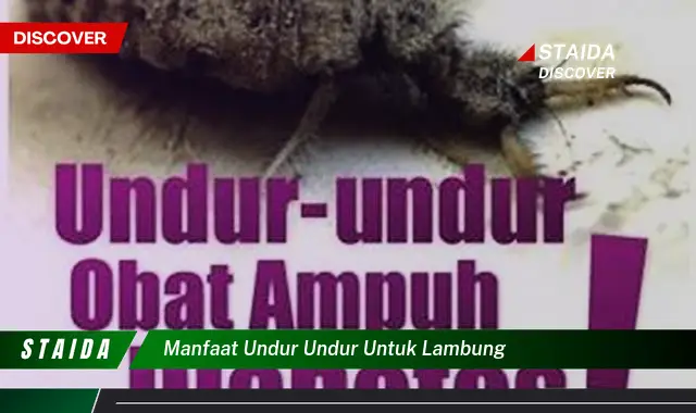 Temukan 7 Manfaat Undur-undur untuk Lambung yang Jarang Diketahui