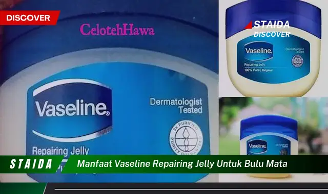 Temukan Rahasia Vaseline Repairing Jelly untuk Bulu Mata Indah