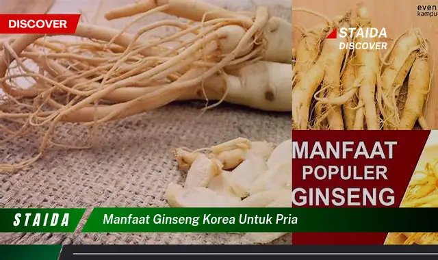 Temukan Manfaat Ginseng Korea untuk Pria yang Jarang Diketahui