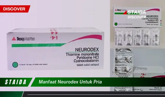 Ungkap 7 Manfaat Neurodex untuk Pria yang Perlu Anda Ketahui!