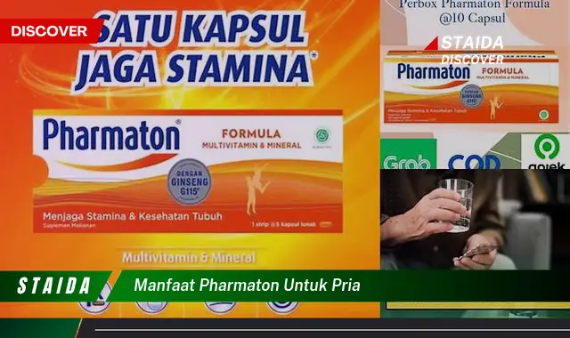 7 Manfaat Pharmaton untuk Pria yang Jarang Diketahui