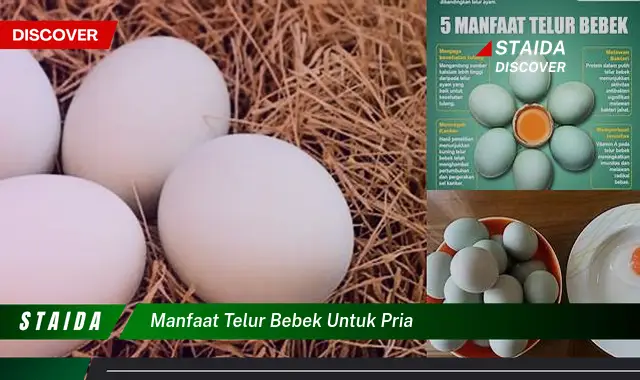 Temukan 7 Manfaat Telur Bebek untuk Pria yang Jarang Diketahui