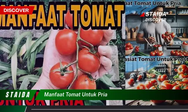 Temukan Manfaat Tomat untuk Pria yang Jarang Diketahui