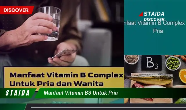 Temukan Manfaat Vitamin B3 untuk Pria yang Jarang Diketahui