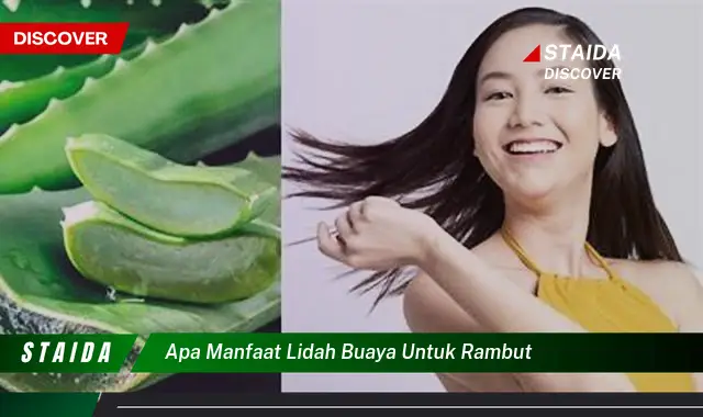 apa manfaat lidah buaya untuk rambut