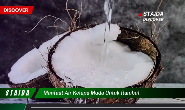 Temukan Rahasia Manfaat Air Kelapa untuk Rambut yang Jarang Diketahui