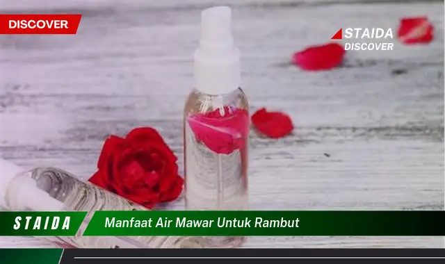 Manfaat Air Mawar Untuk Rambut