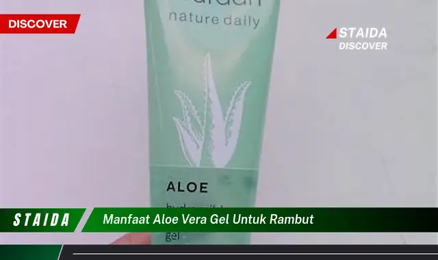 Temukan Manfaat Aloe Vera Gel untuk Rambut yang Jarang Diketahui