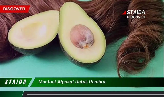 Temukan 7 Manfaat Alpukat untuk Rambut yang Jarang Diketahui