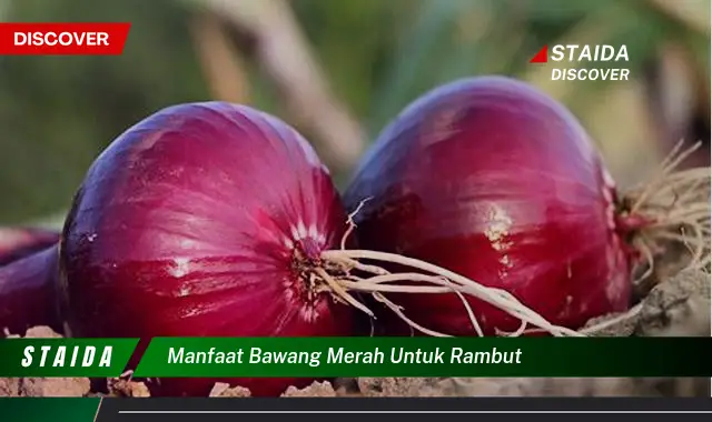 Temukan 7 Manfaat Bawang Merah untuk Rambut yang Jarang Diketahui