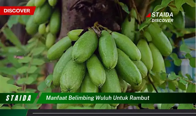 7 Manfaat Belimbing Wuluh untuk Rambut yang Jarang Diketahui