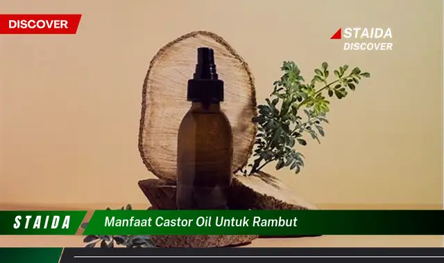 Manfaat Minyak Jarak untuk Rambut yang Harus Kamu Tahu!