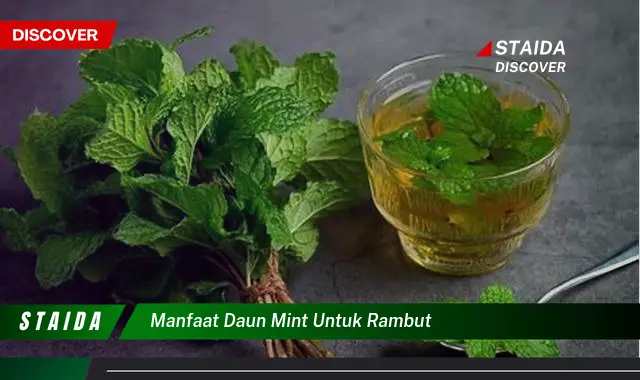 Temukan Manfaat Daun Mint untuk Rambut yang Belum Diketahui