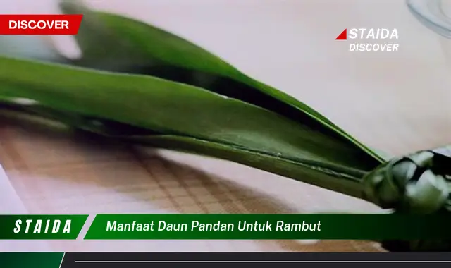 Temukan 7 Manfaat Daun Pandan untuk Rambut yang Tidak Banyak Diketahui