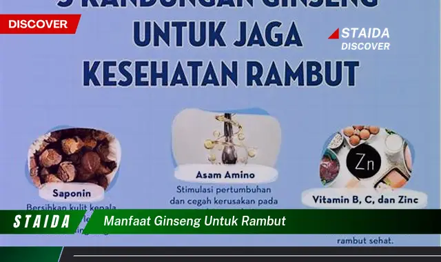 Ungkap Rahasia Ginseng untuk Rambut Sehat dan Berkilau