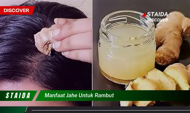 Temukan 7 Manfaat Jahe untuk Rambut yang Jarang Diketahui