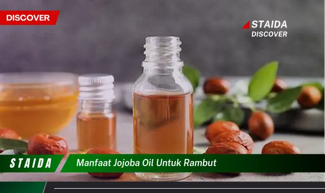 Temukan 7 Manfaat Minyak Jojoba untuk Rambut yang Perlu Anda Ketahui