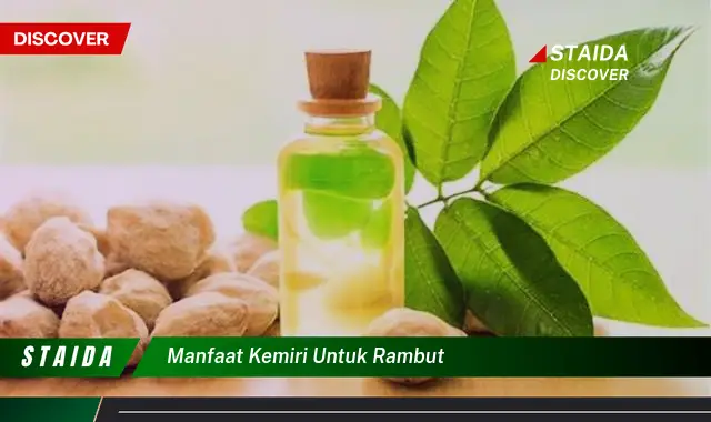 Manfaat Kemiri untuk Rambut yang Harus Anda Ketahui