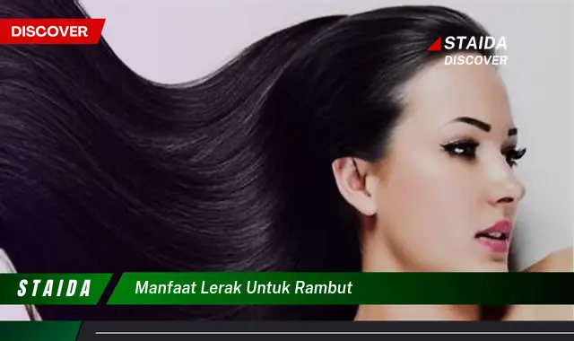 Temukan 7 Manfaat Lerak untuk Rambut yang Jarang Diketahui!