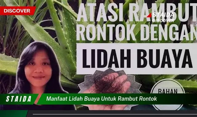 manfaat lidah buaya untuk rambut rontok