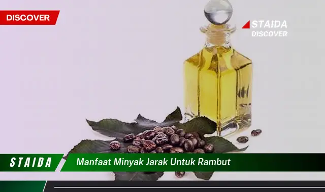 Temukan Manfaat Minyak Jarak untuk Rambut yang Belum Banyak Diketahui